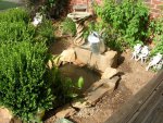 DSCN0587.jpg