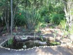pond and annette 058.jpg