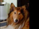DSC00302.JPG