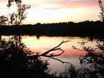 sunset off  the pond.jpg