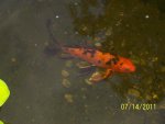 100_1077.JPG 100_1077.JPG