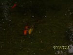 100_1072.JPG
