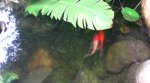 20160807_075026361.jpg 20160807_075026361.jpg