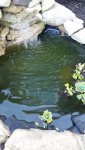 20160818_193114.jpg