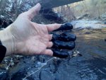coal slurry spill in Fields Creek8.jpg