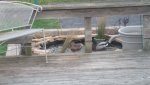 20170312_191414.jpg 20170312_191414.jpg