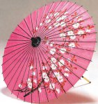 japanese_umbrella.jpg