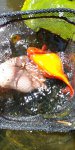 20170610_124508.jpg 20170610_124508.jpg