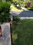 IMG_20170704_102547.jpg