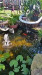 other small pond 7 2017.jpg