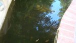 DSC03993.JPG