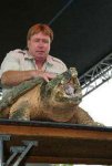 turtle-v.jpg
