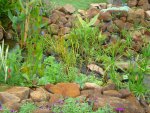 DSC01980.JPG