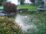 IMG00962-20110821-1916.jpg