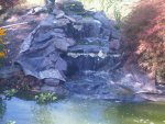 IMG00876-20110724-1648.jpg