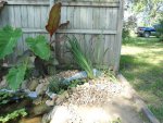 DSC00467.JPG