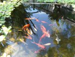 DSC00475.JPG