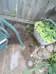 DSC00484.JPG