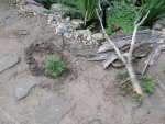 DSC00486.JPG