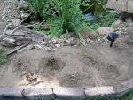 DSC00487.JPG