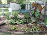 DSC00490.JPG
