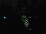 DSC00569.JPG