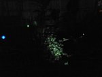 DSC00571.JPG