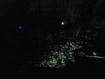 DSC00578.JPG