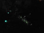 DSC00580.JPG