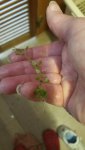 20170721_152303.jpg