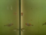 IMG_20170808_183829.jpg
