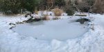 Winter Pond.jpg
