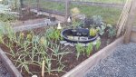 communitygardenFeb2018.jpg