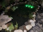 20180529_221306.jpg