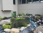 20180530_180141.jpg