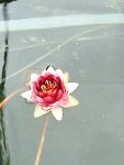 DSC00665.JPG