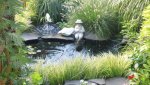 Pond.JPG Pond.JPG