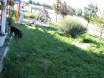 IMG_3021.JPG IMG_3021.JPG