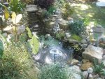 My pond fall 2011 by rebelangel_3733.jpg My pond fall 2011 by rebelangel_3733.jpg