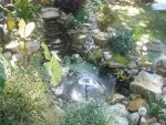 My pond fall 2011 by rebelangel_3733.jpg