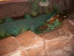 nj2011 122.JPG