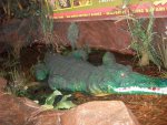 nj2011 126.JPG