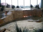 nj2011 110.JPG