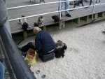 nj2011 176.JPG