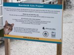nj2011 178.JPG