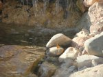 Catchin some rays by herzaussfahl.jpg Catchin some rays by herzaussfahl.jpg