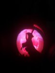 IMAG0135.jpg IMAG0135.jpg