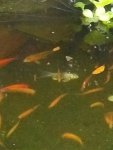 IMG_20180509_201607510.jpg IMG_20180509_201607510.jpg