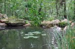 pickcovefalls.jpg pickcovefalls.jpg