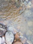 20180908_154945.jpg 20180908_154945.jpg